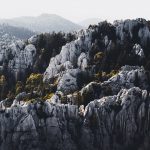 شبکه‌های اجتماعی چگونه بر افکار عمومی تأثیر می‌گذارند؟